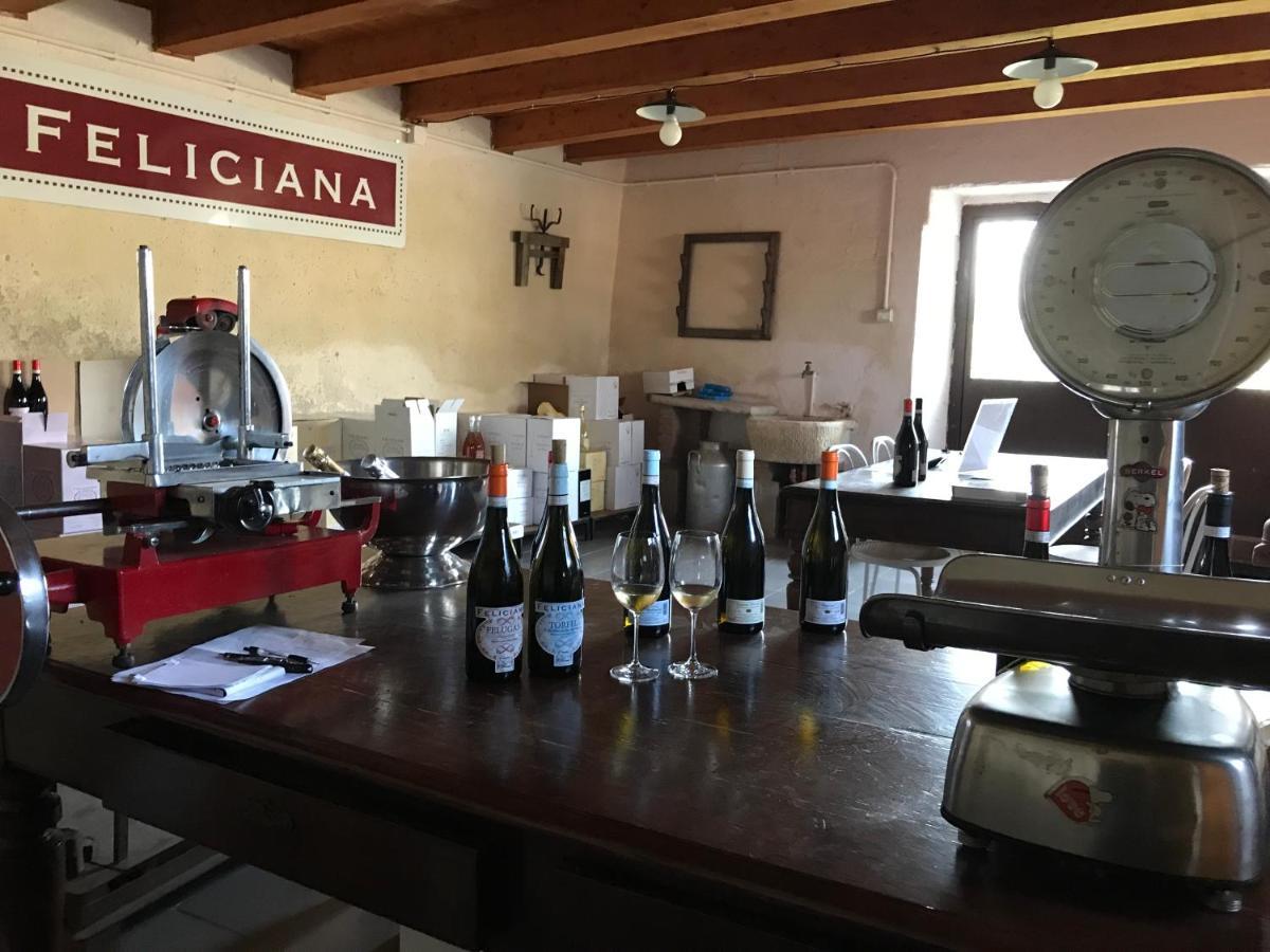 Agriturismo Feliciana 포촐렌고 외부 사진