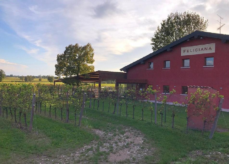 Agriturismo Feliciana 포촐렌고 외부 사진