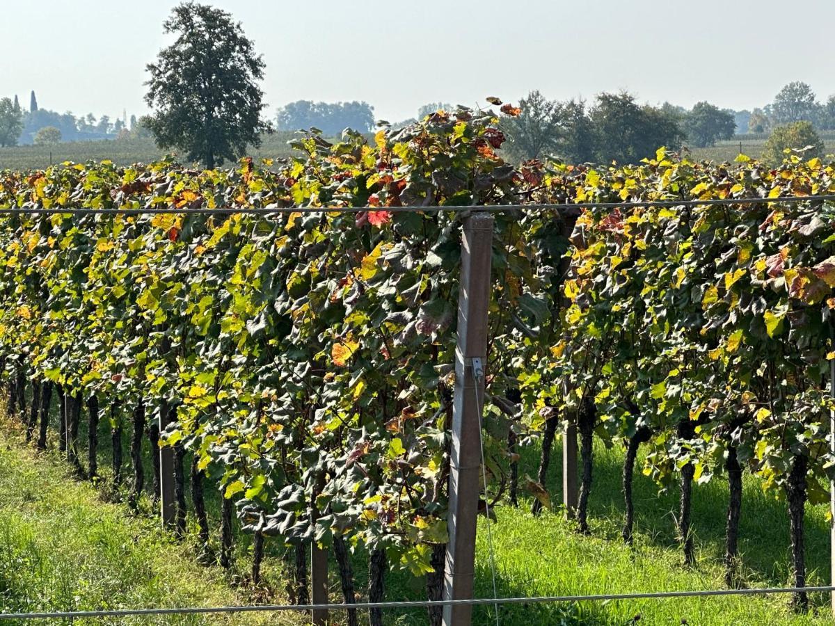 Agriturismo Feliciana 포촐렌고 외부 사진