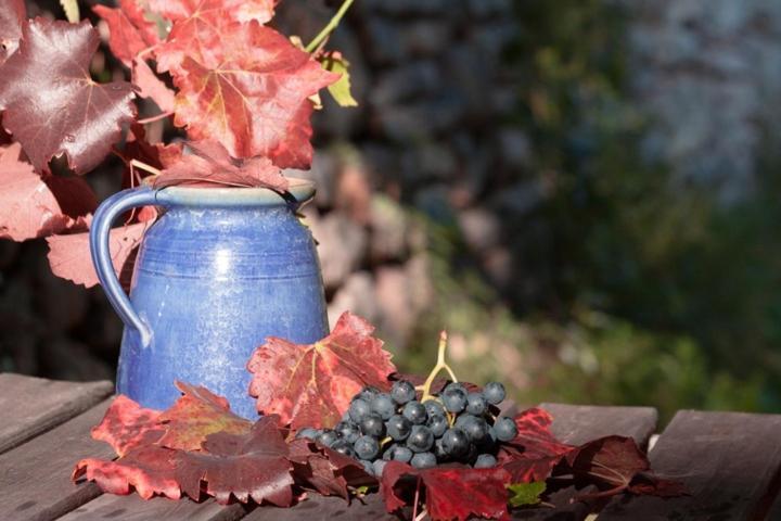 Agriturismo Feliciana 포촐렌고 외부 사진