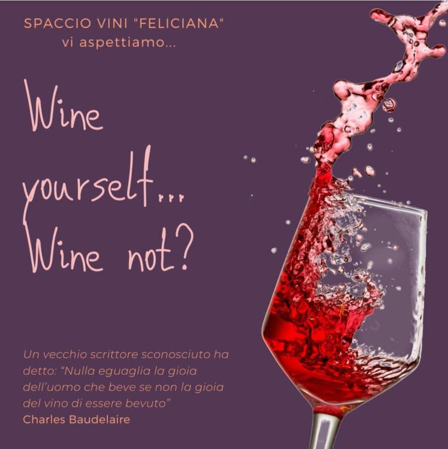 Agriturismo Feliciana 포촐렌고 외부 사진